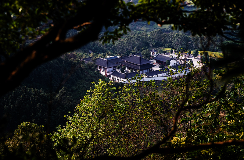 5密林古寺.jpg