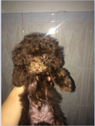 QQ图片20150910154148.png