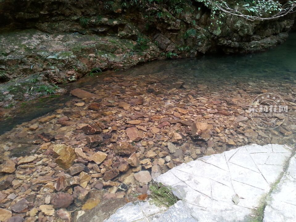 QQ图片20151016080053.jpg