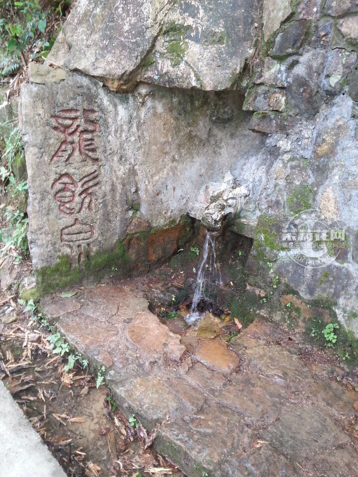 QQ图片20151016080142.jpg