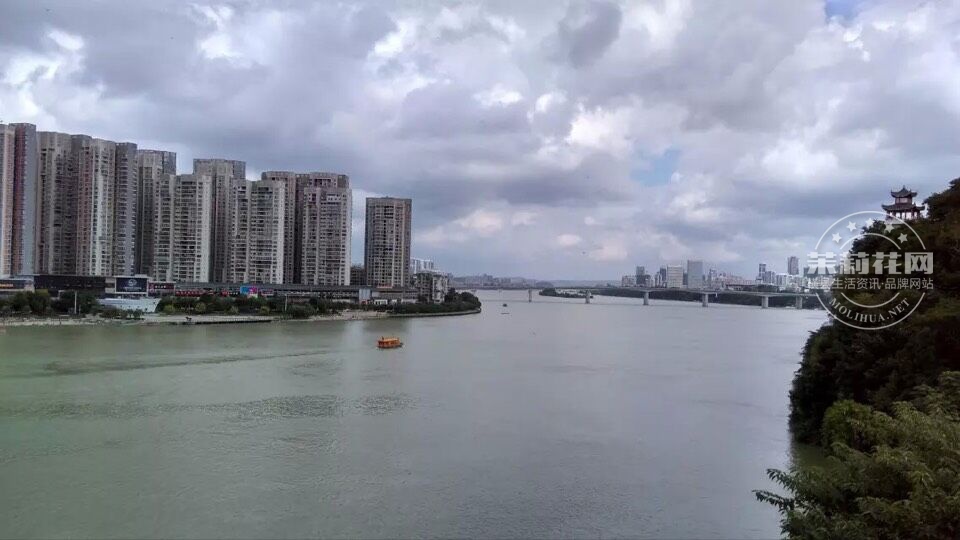 QQ图片20151031123740.jpg