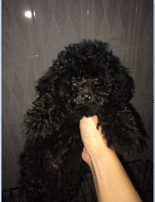 QQ图片20150910154101.png