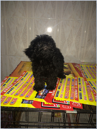 QQ图片20150910154209.png