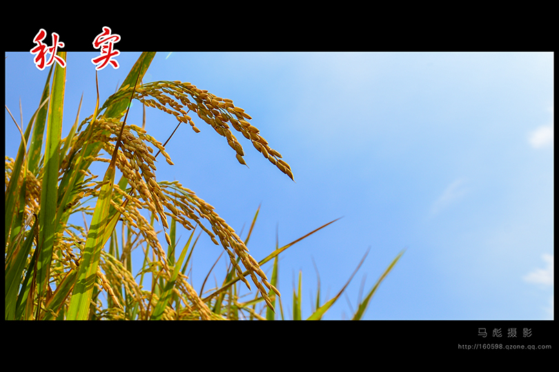秋实06-9168.jpg