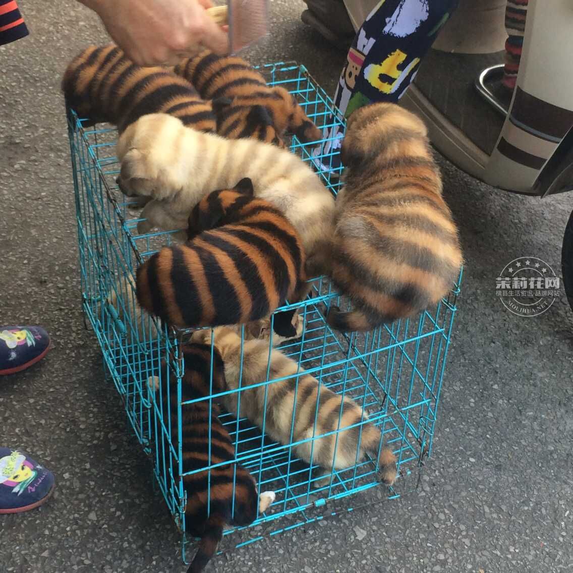 QQ图片20151117121743.jpg