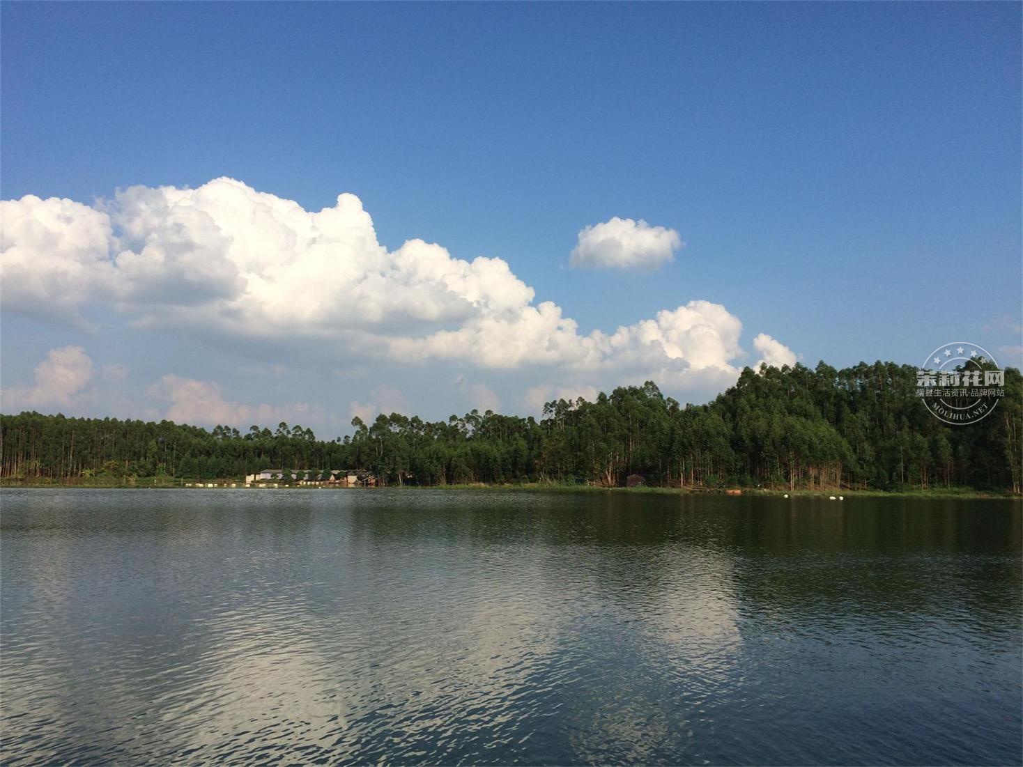 IMG_1749_看图王.jpg