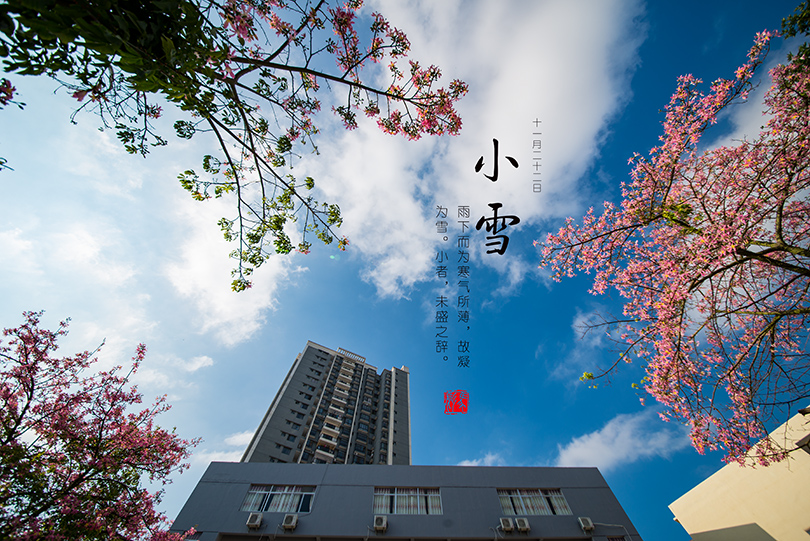 小雪DSC_0754.jpg