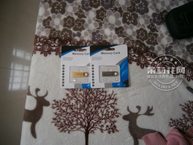 P1010154.JPG