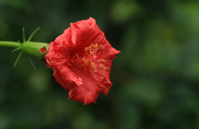 IMG_9930_副本.JPG