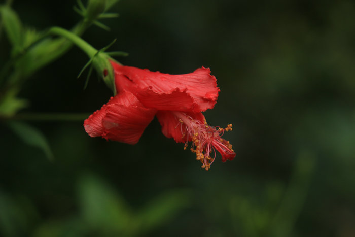 IMG_9935_副本.JPG