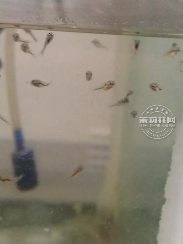 psb (1) - 副本.jpg