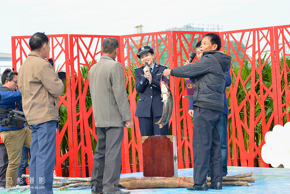 0DSC_2745.jpg