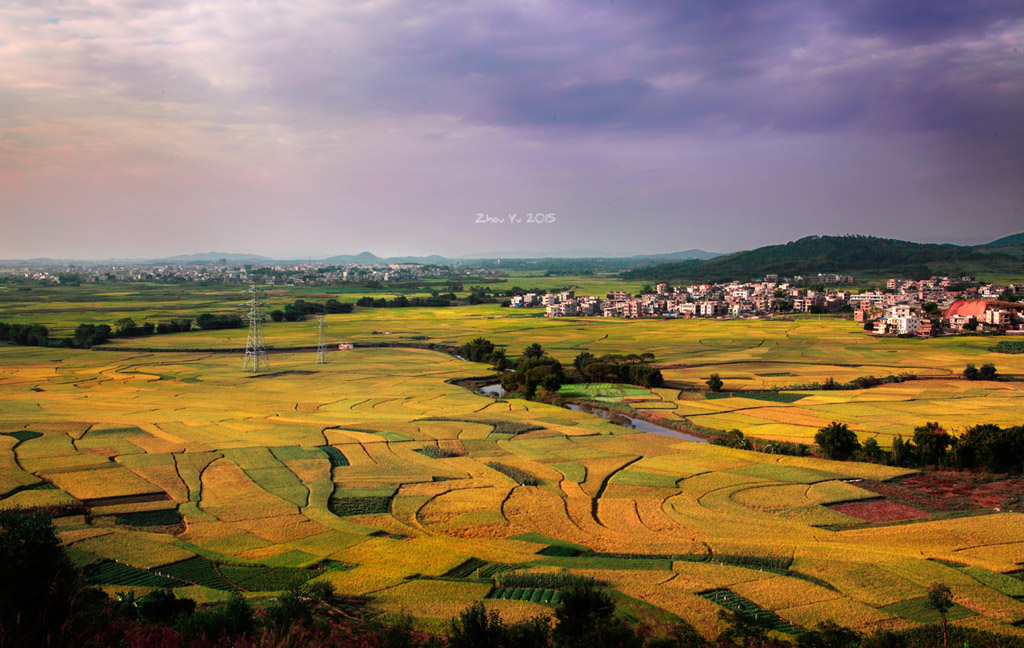 DPP_0044-2.jpg