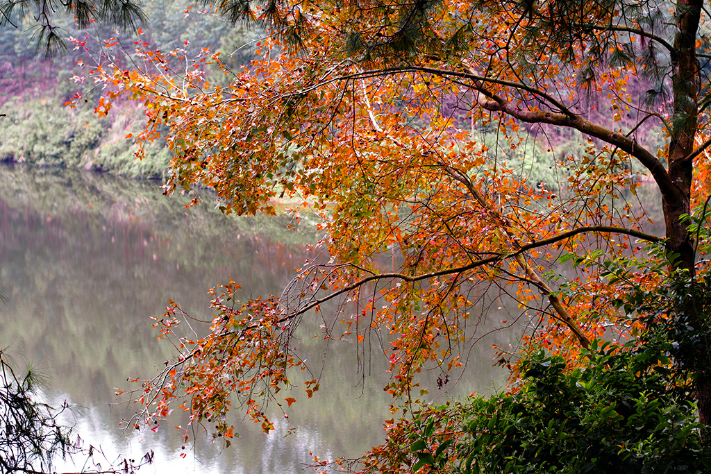 DSC09295a.jpg