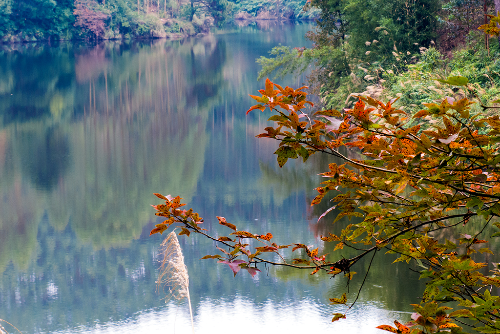 L1860941a.jpg