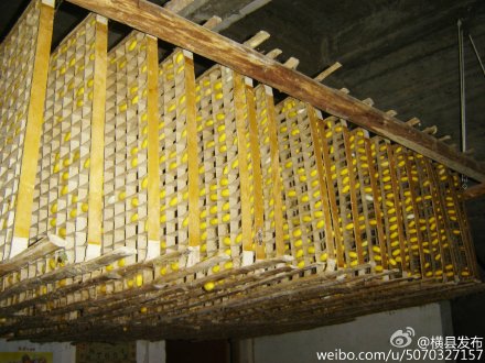 005x8zIhgw1ezopqgv43zj31kw16ondc.jpg