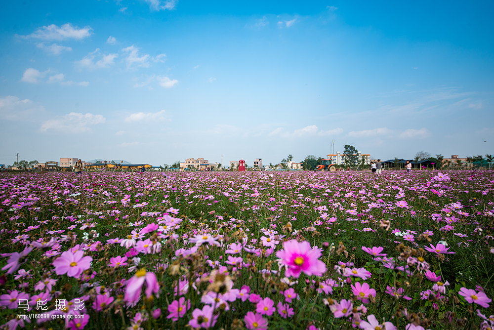 05-DSC_5528.jpg