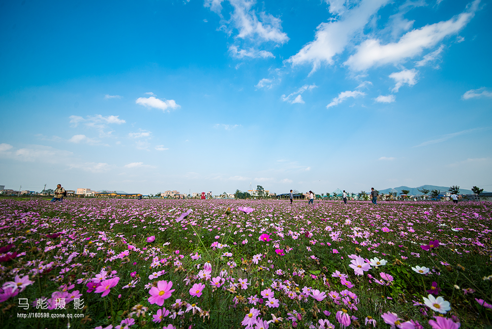 06-DSC_5532.jpg