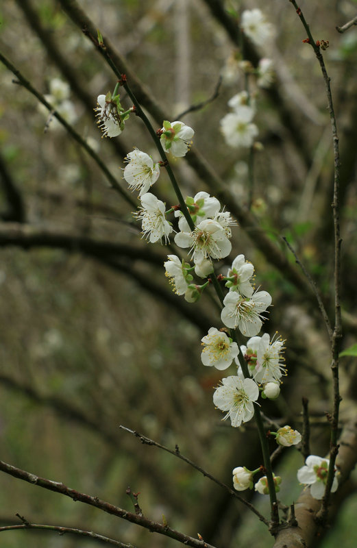 IMG_3048_副本.jpg