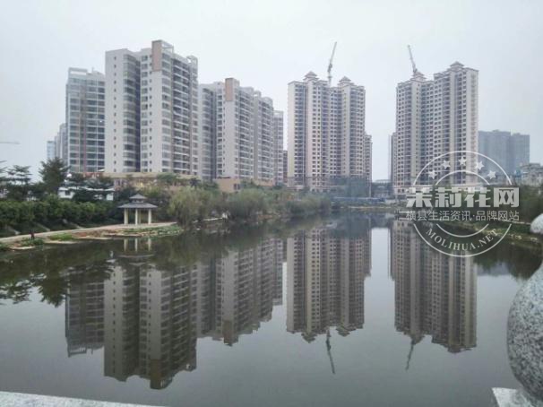 图片10.jpg
