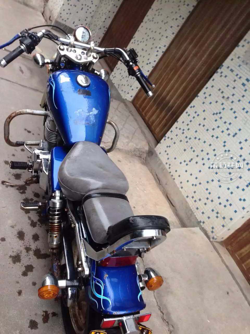 555.jpg