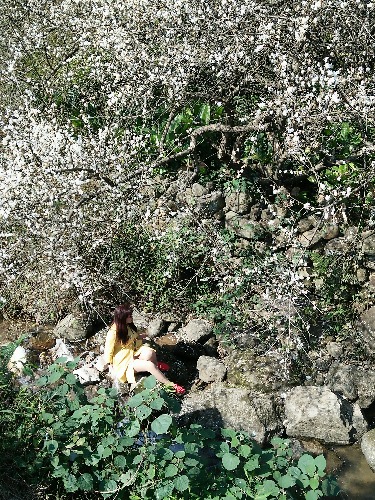 IMG20160117142219.jpg