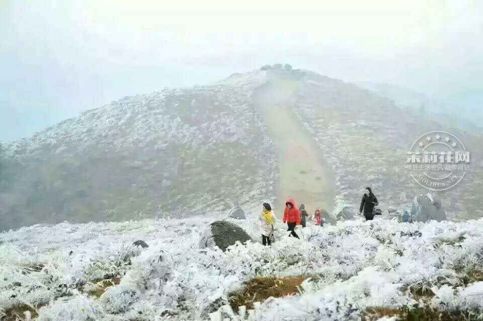 罗凤东山