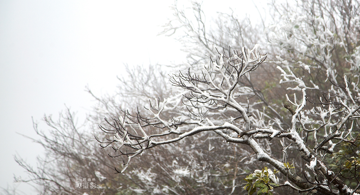 冰天雪地6.jpg