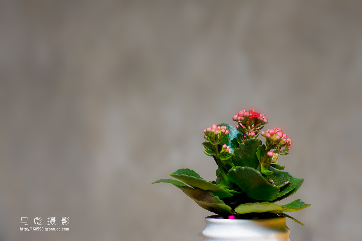 0DSC_6328.jpg