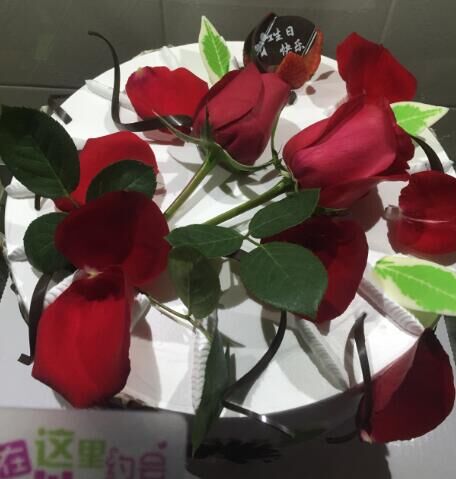 QQ图片20160206153334.jpg