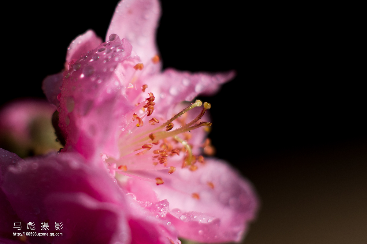 0DSC_6702.jpg