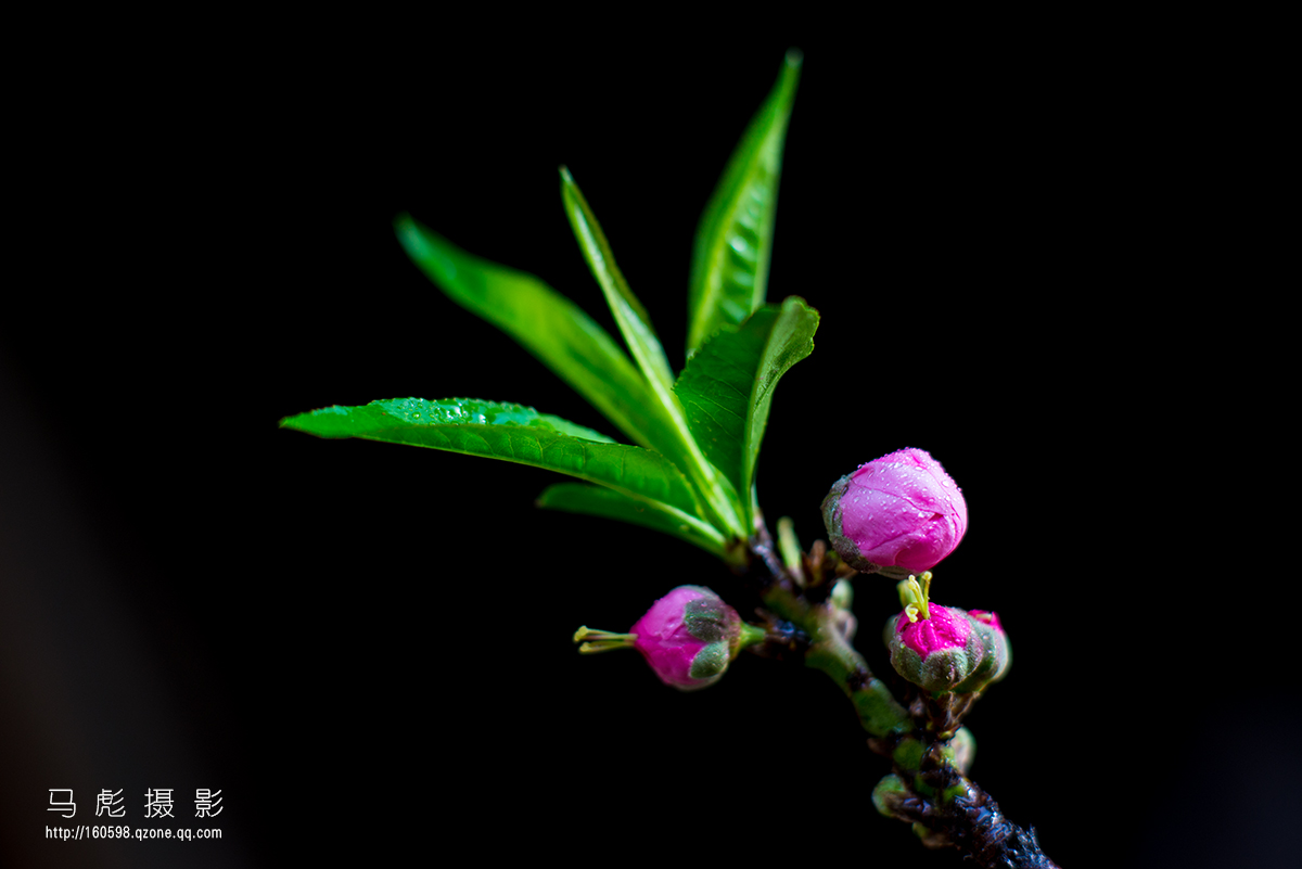 0DSC_6699.jpg