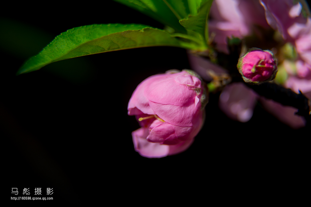 0DSC_6720.jpg