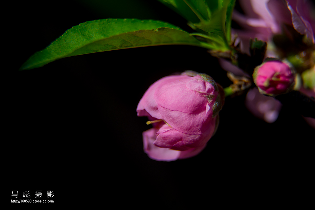 0DSC_6721.jpg