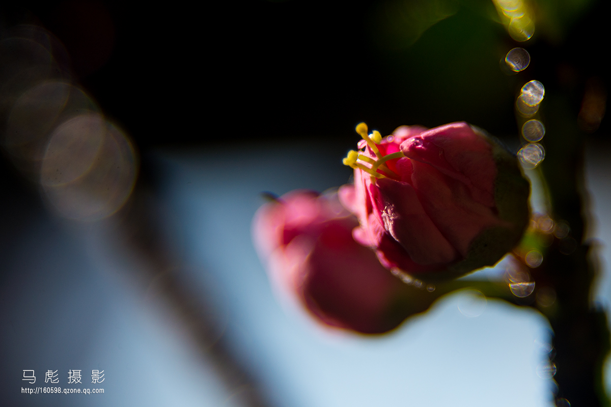 0DSC_6750a.jpg