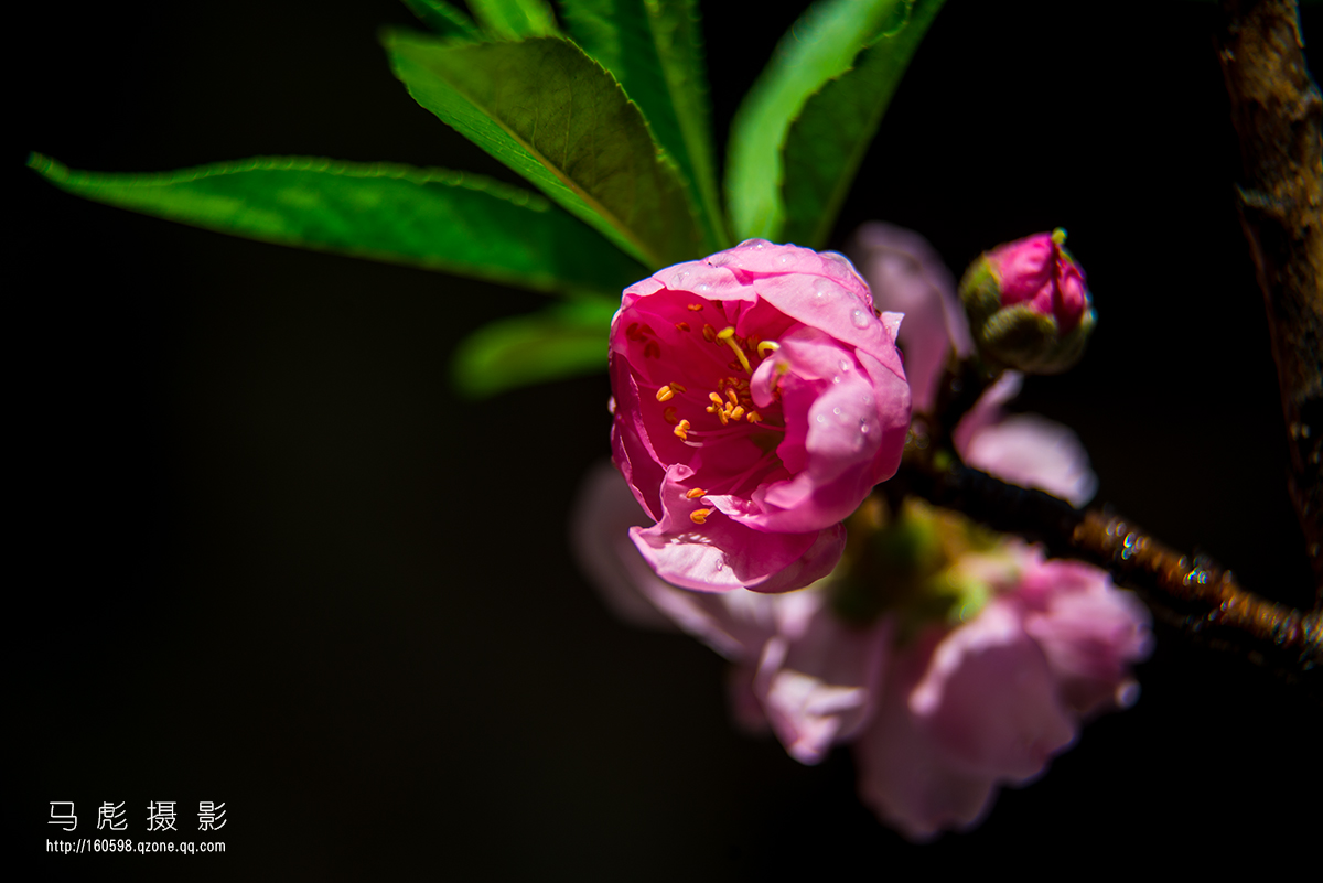 0DSC_6754.jpg