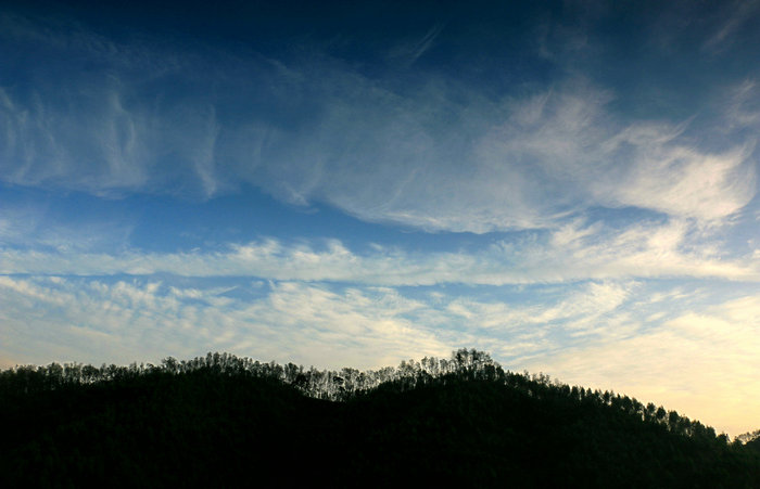 IMG_8155_副本.jpg