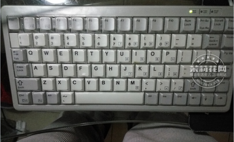 QQ截图20160304140320.jpg