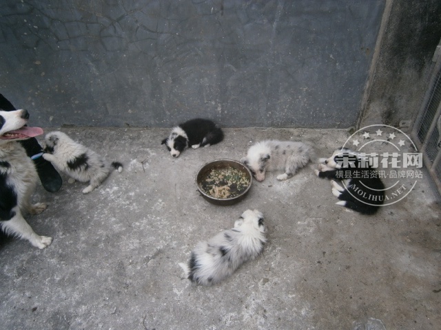 P1010171.JPG