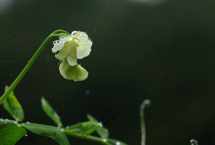 IMG_9293_副本.jpg