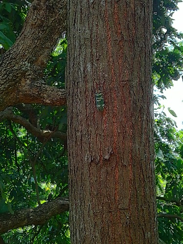 IMG_20150928_130756_HDR.jpg