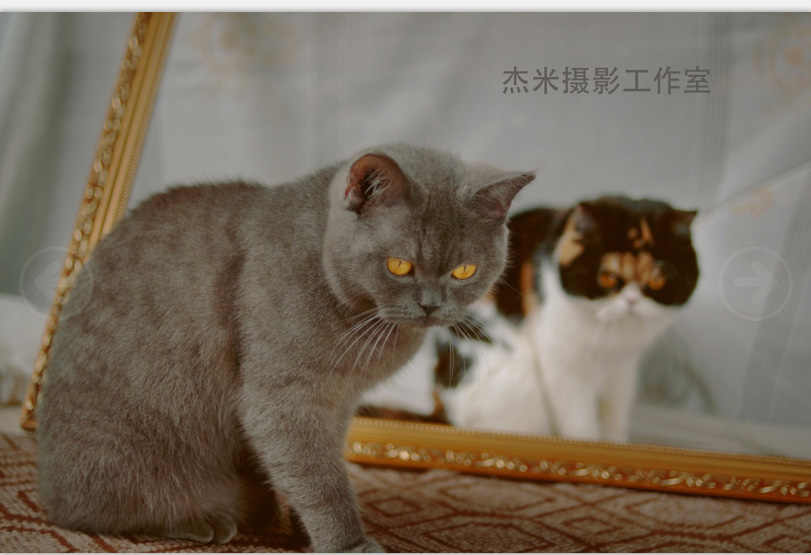 QQ图片20160331002446.jpg
