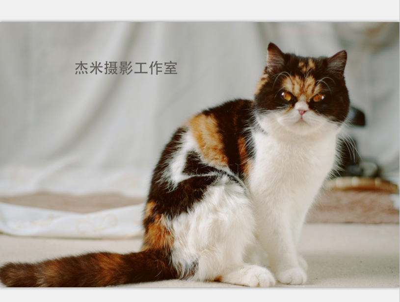QQ图片20160331002528.jpg