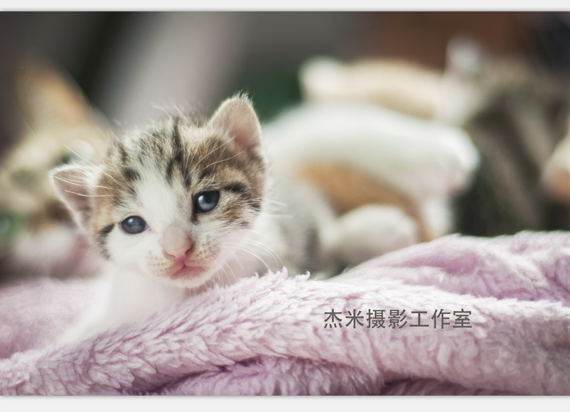 QQ图片20160331002703.jpg