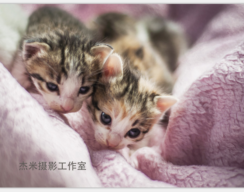 QQ图片20160331002739.jpg
