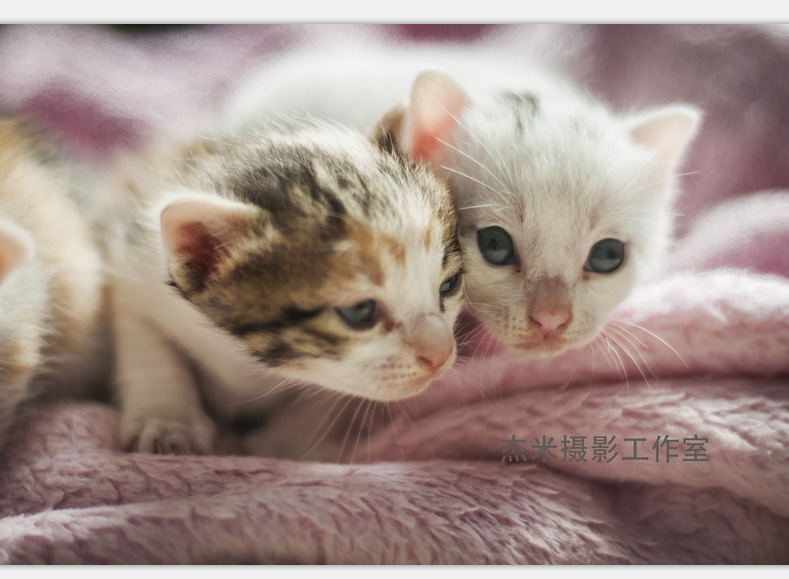 QQ图片20160331002802.jpg