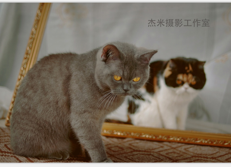 QQ图片20160331002908.jpg