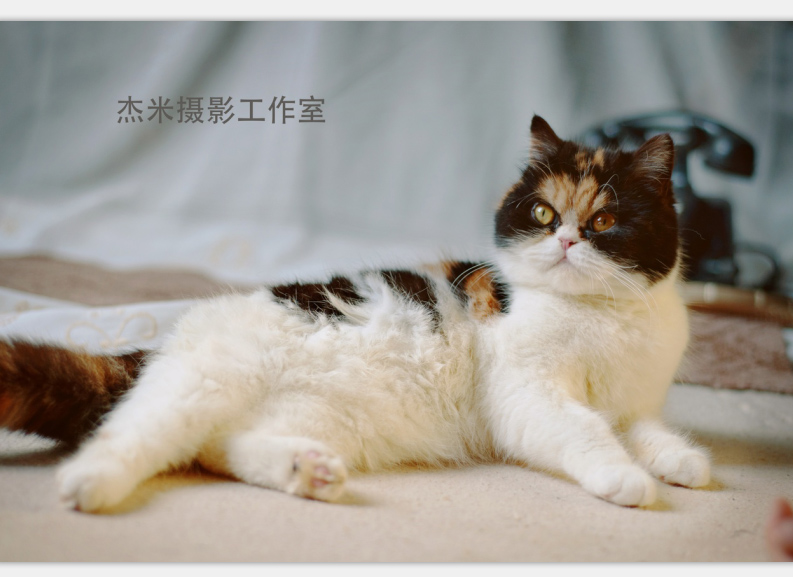 QQ图片20160331002928.jpg