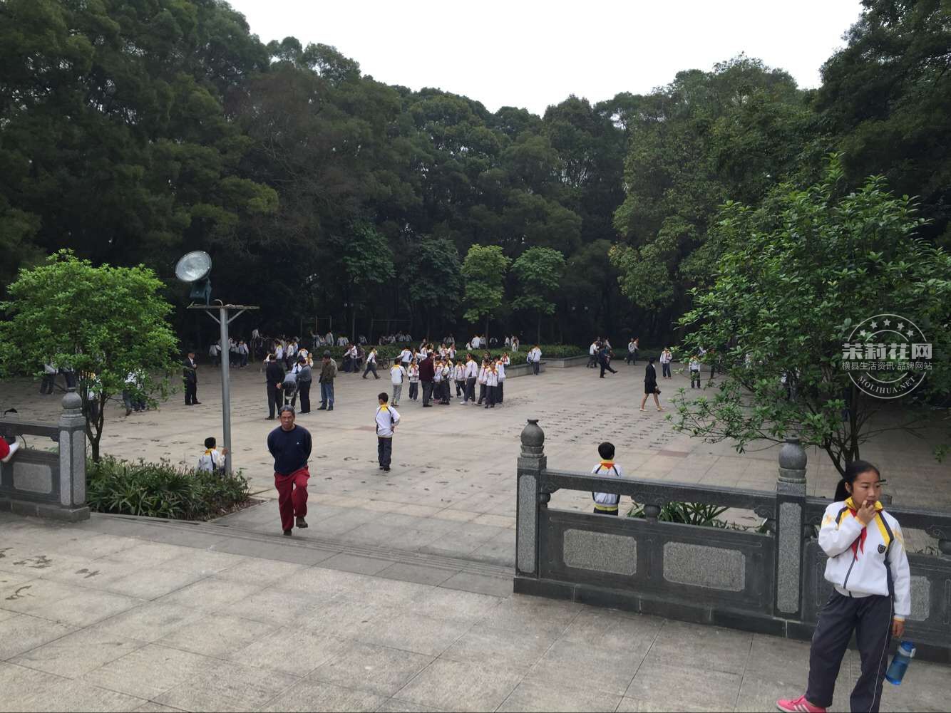 QQ图片20160331094336.jpg