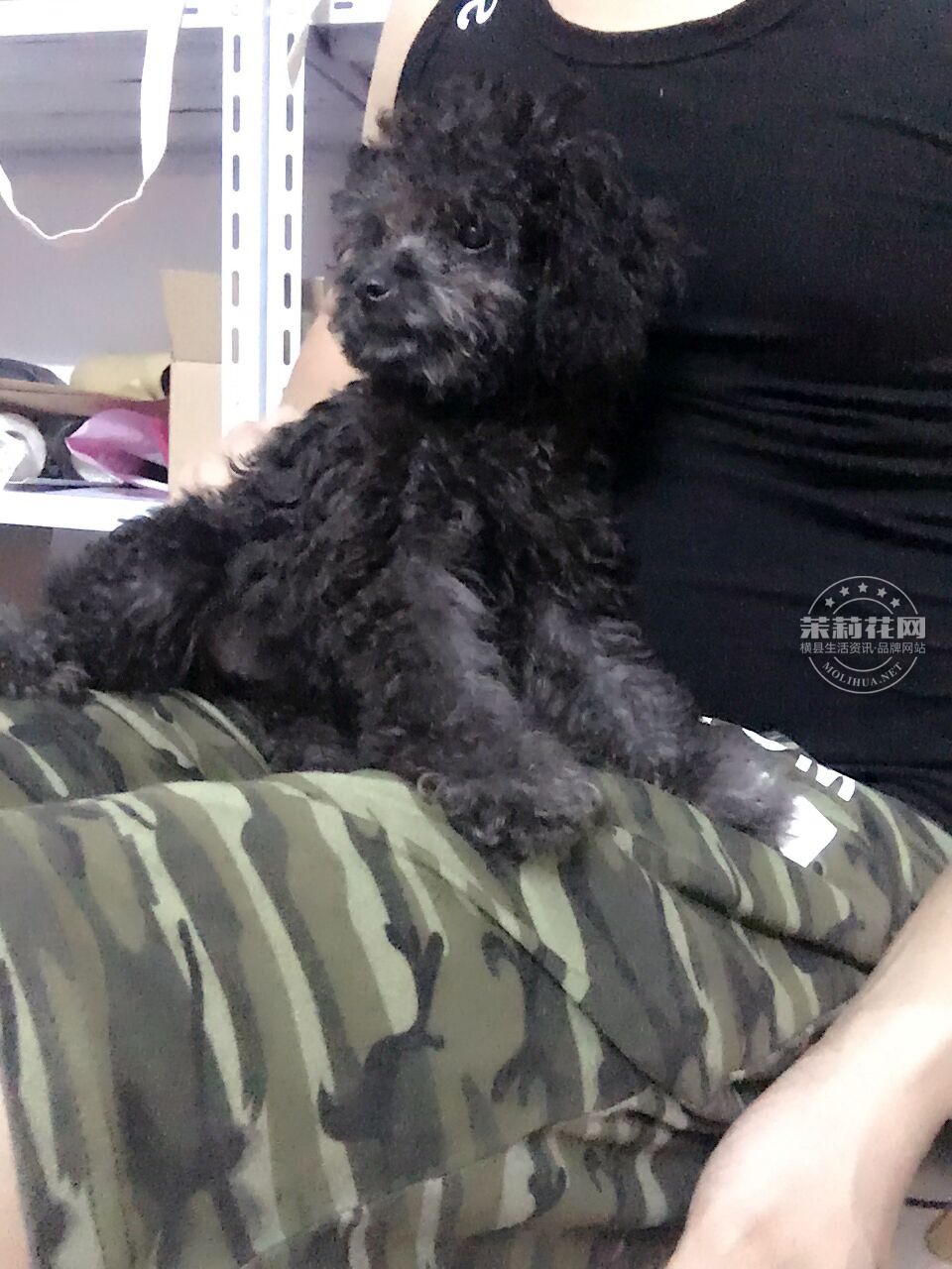 QQ图片20160418081500.jpg